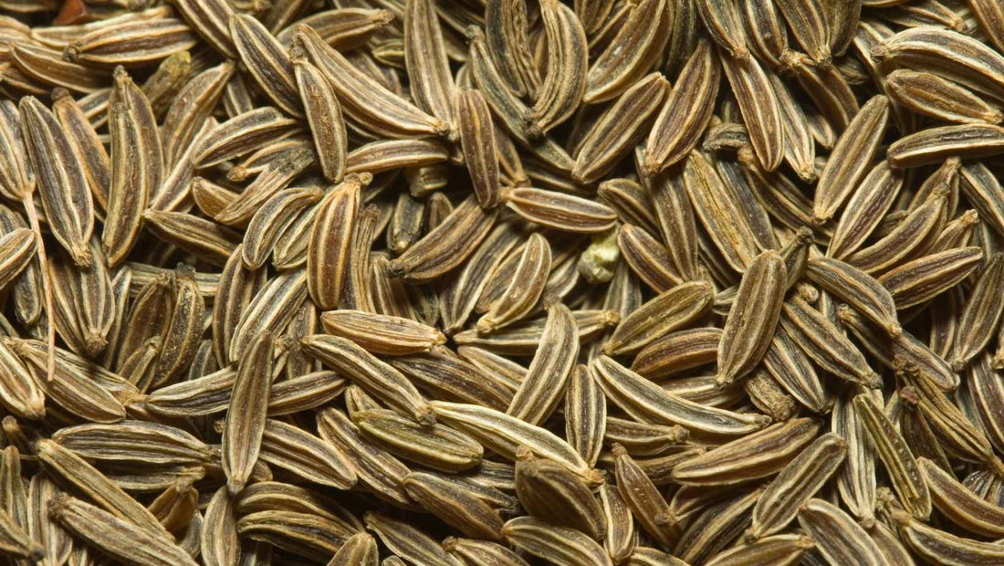 Le Cumin : l’épice qui divise… et qui rassemble !